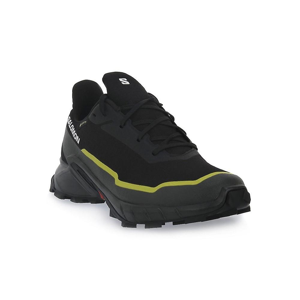 Shoes Salomon Alphacross 5 Gtx 474604