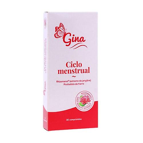 Gina menstrual cycle 30 tablets