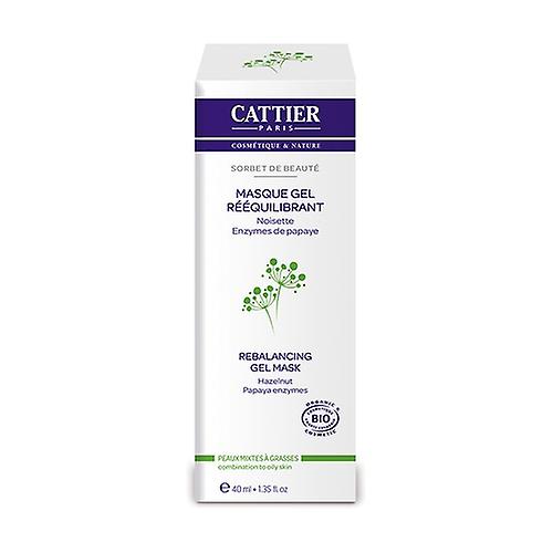 Organic rebalancing gel mask 40 ml of gel