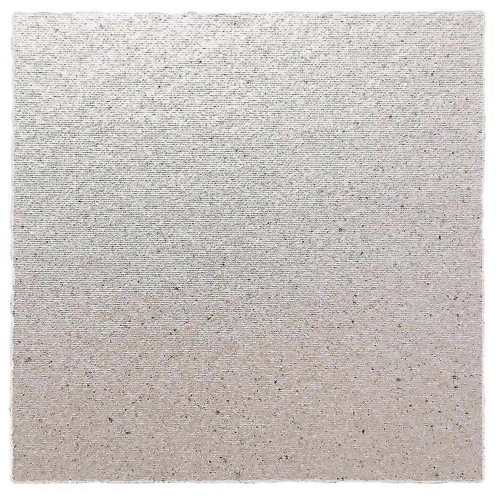 2 X Replacement 12 X 12 Cm Plate Mica For Microwave
