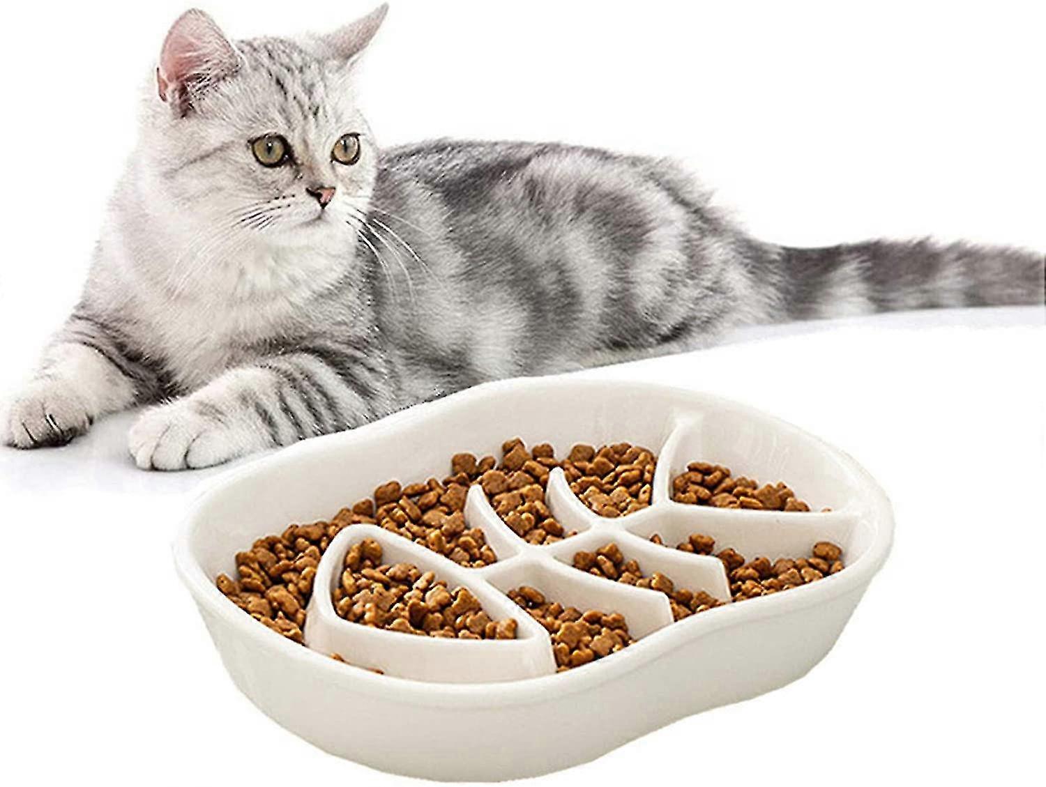 White Ceramic Slow Feeder Cat Dog Bowls - Conception unique fishbone fun