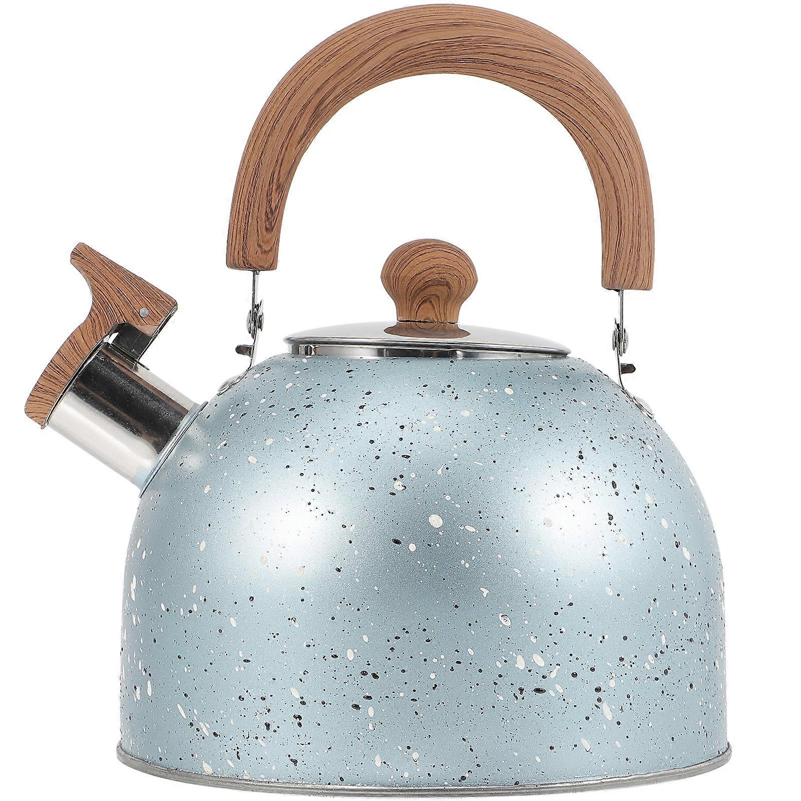 Hot Water Pot Practical Kettle Convenient Pot With Handle Kettle Pot for Boiling Water (2L)