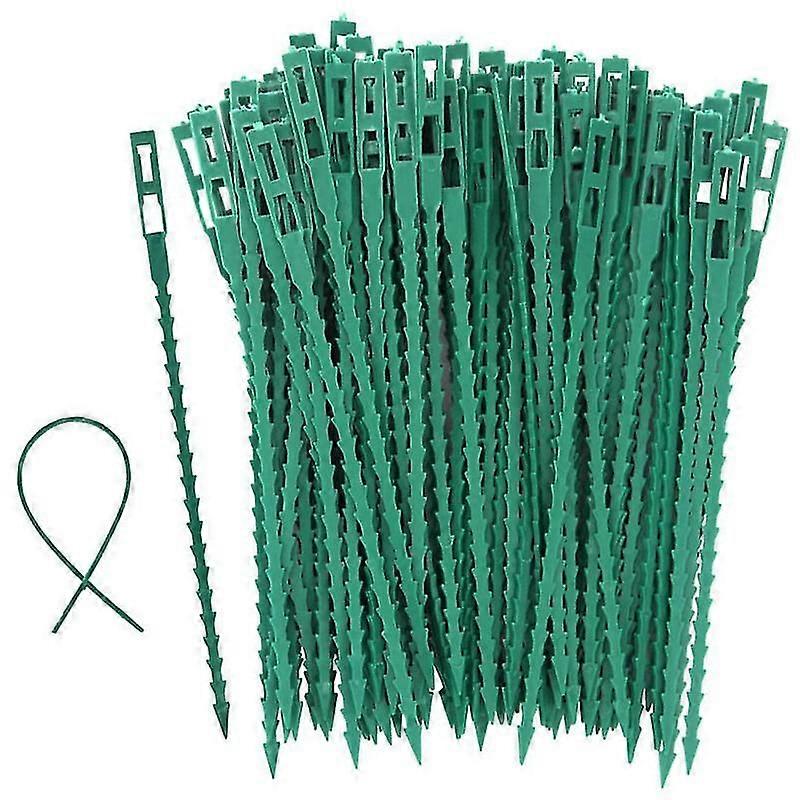 100 Stake Holders for Tomatoes, Trees, Cable Ties - Reusable Plastic Ties for Gardening