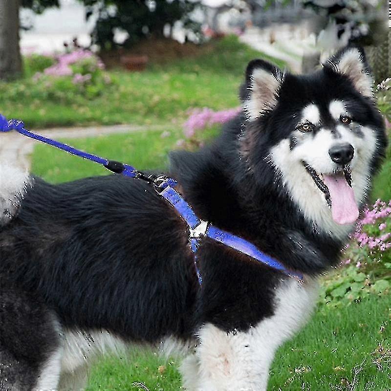 harness and collar chest leash sets suitable for various brands, adjustable size between 43-67cm for ultimate comfort and control