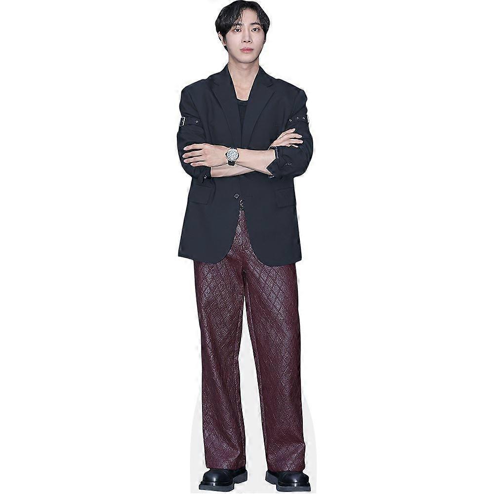 Choo Young Woo (Blazer) Cardboard Cutout (lifesize OR mini size). Standee. Stand Up.