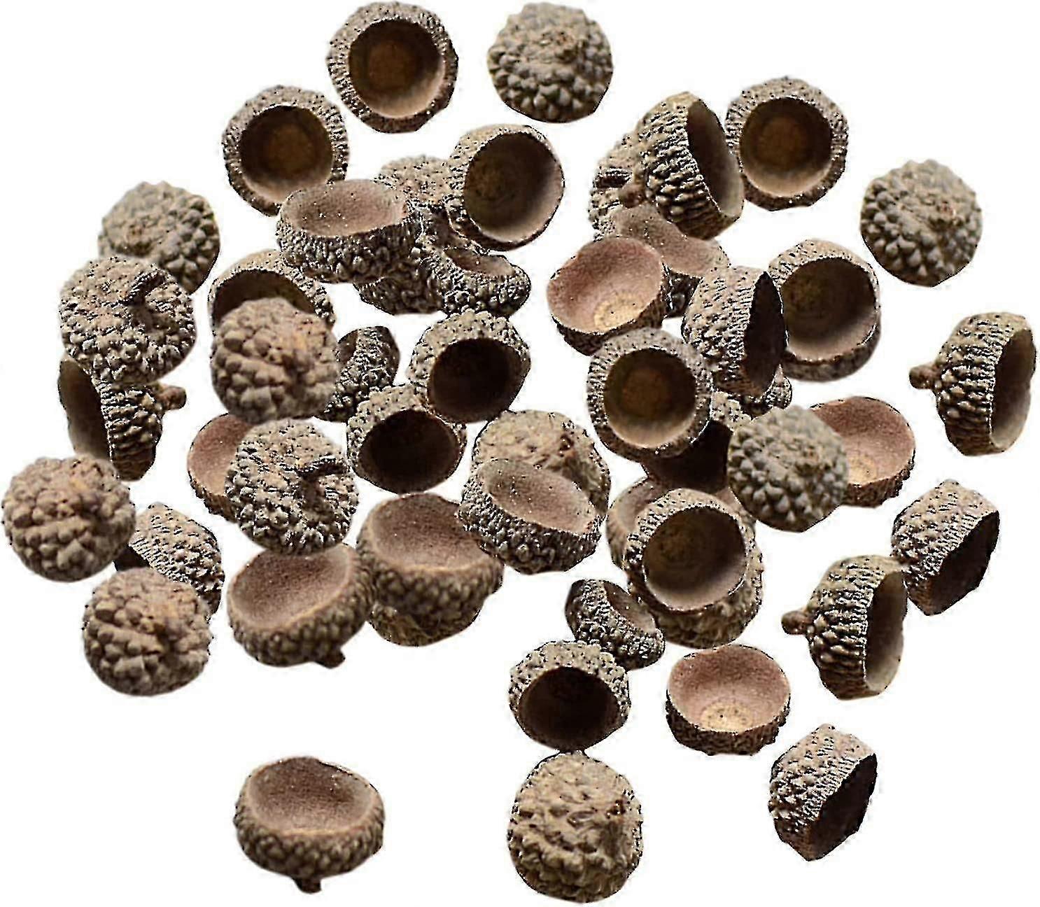100x Natural Acorns Caps Decorative Vase Fillers for Home Diy, Christmas, Kitchen, Autumn Table Scatter Photo Props