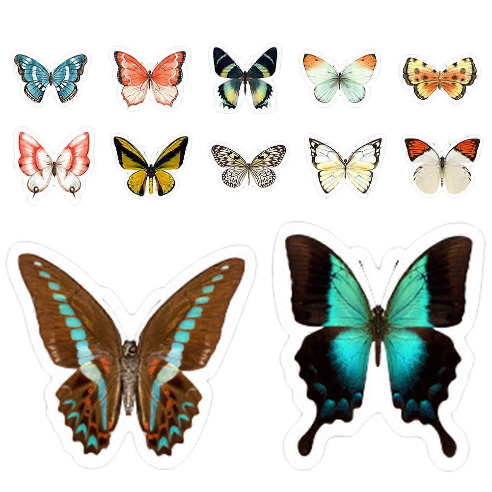 Removable Window Decals PVC Window Clings for Decoration 1Set