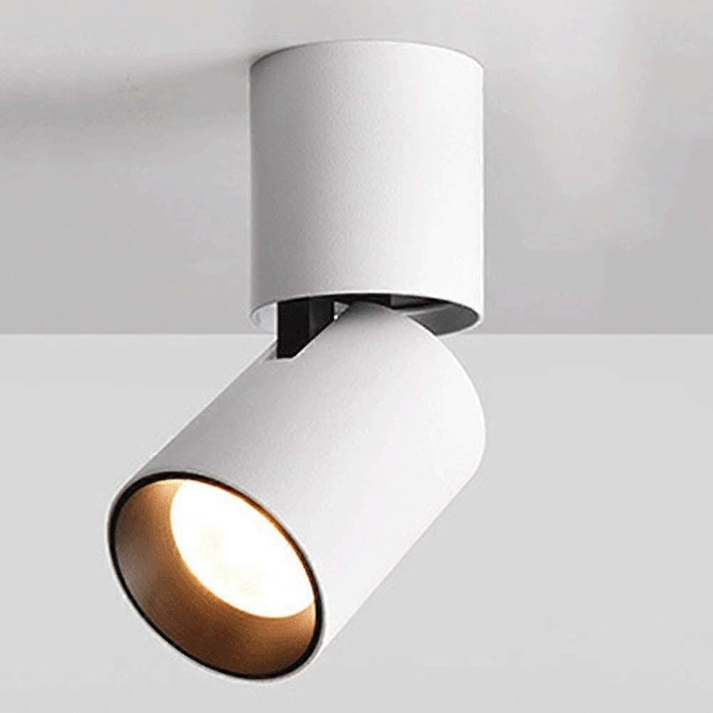 12W LED Spotlight 360 Degree Rotating Ceiling Spotlight Surface Mounted COB LED Downlight Aluminum Fixture