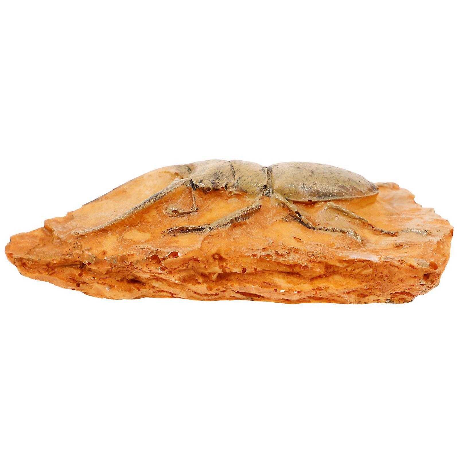 Insect Ornament Decoration for Teaching Resin Specimen Piece