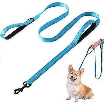 pc Dog Leash with 2 Handles and Reflective Strips, Reflective Dog Leash (Sky Blue, 2.2x180cm)