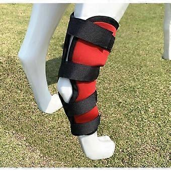 Hinterbeinbandage für Hunde, Kniebandage für Hunde, Gelenkiger Sprunggelenkschutz für Vorder- und Hinterbeine zum Schutz vor Verletzungen und Verstauchungen (L)