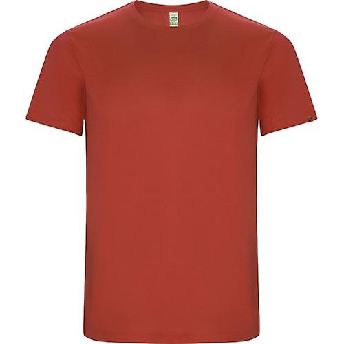 Roly Childrens/Kids Imola Short-Sleeved Sports T-Shirt