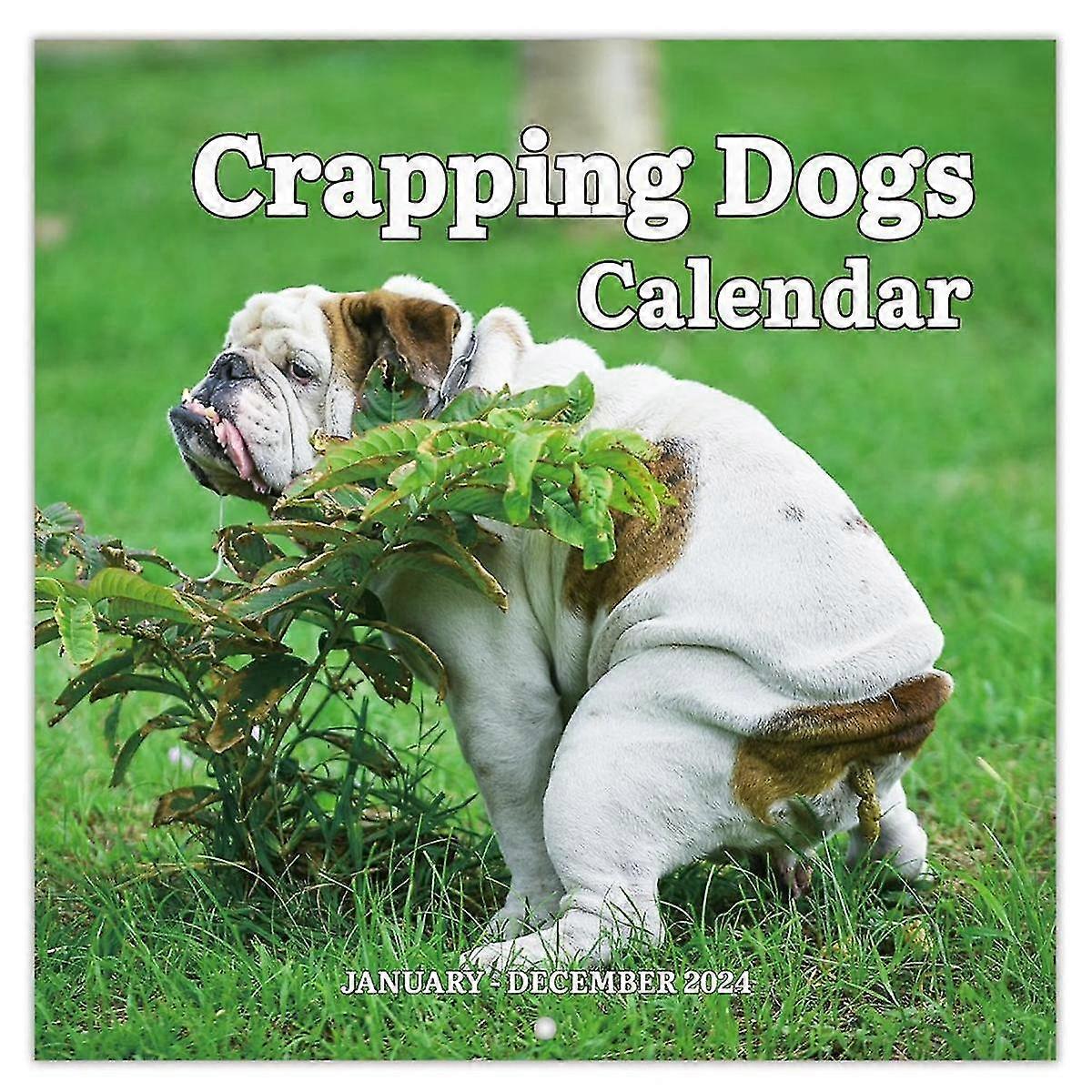 2024 Wall Calendar - 2024 Calendar, Jan 2024 - Dec 2024, 12 Monthly Pooping Calendar 2024