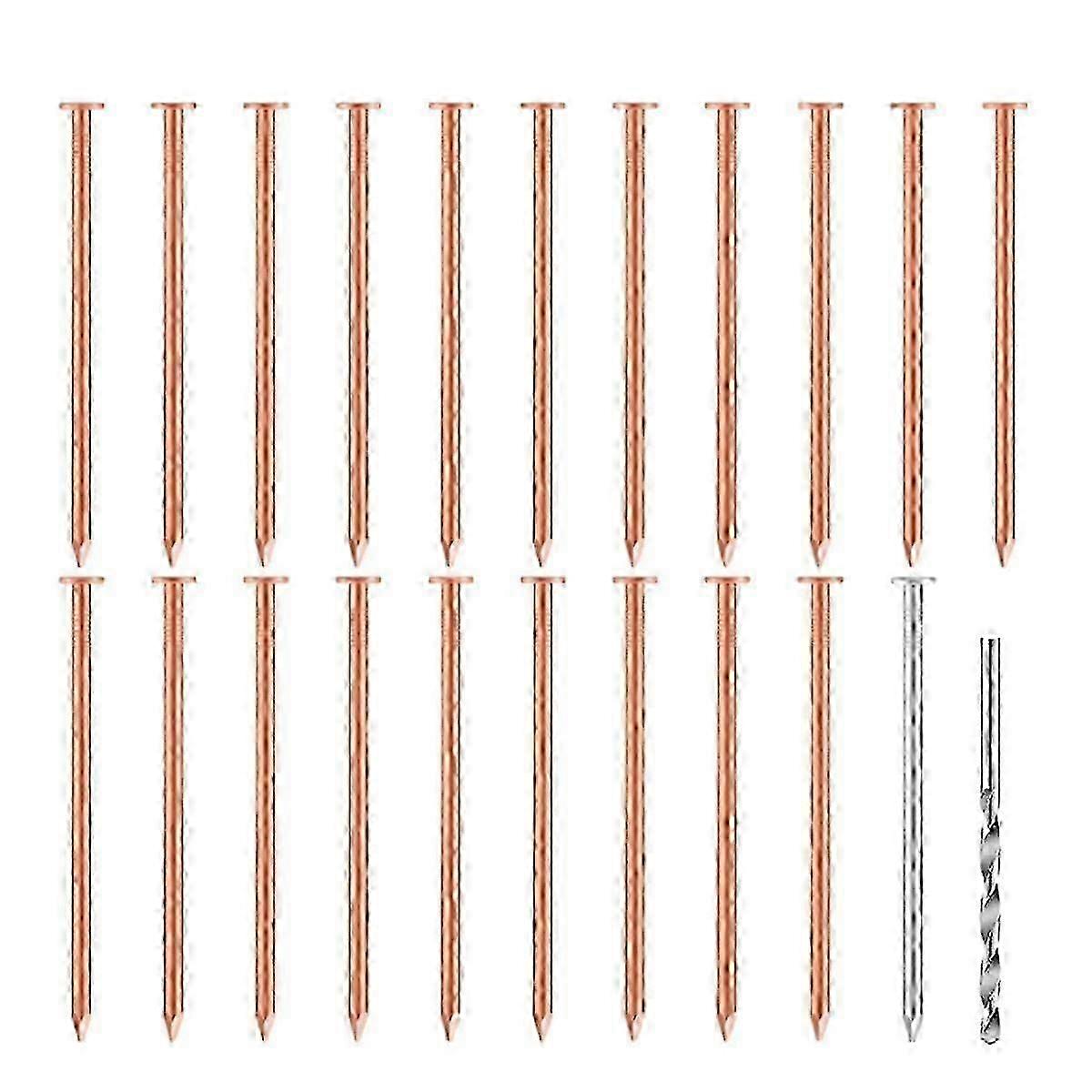 Requintado 20 Pcs Pregos de Cobre compatíveis Árvores de Matança, Tocos & - 3,5 Polegadas de Comprimento Vem com 1 Pregos de Aço e 1