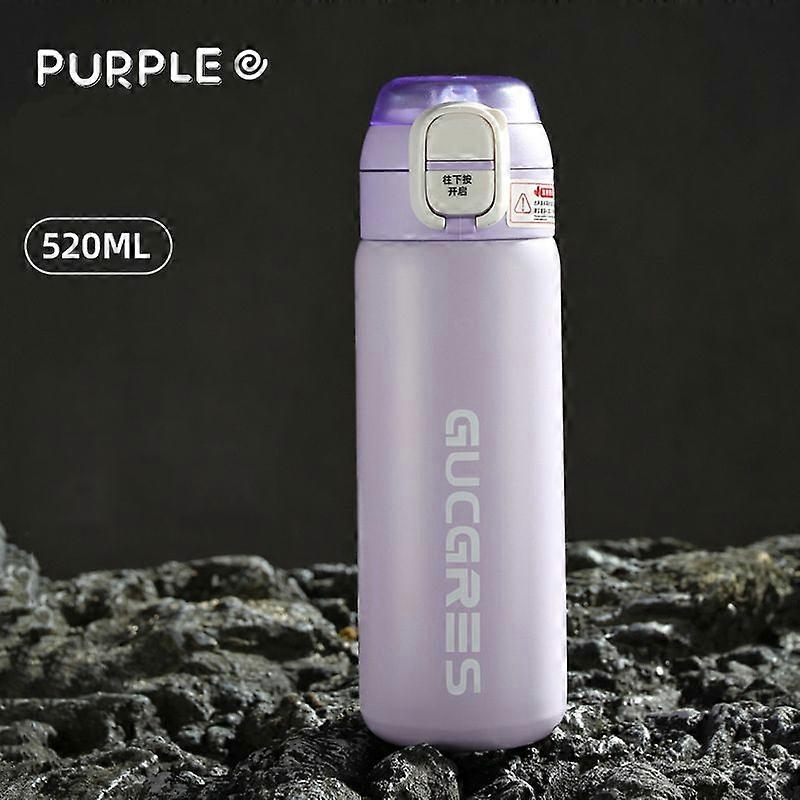 17 oz Water Bottles for Hot and Cold Drinks,18/10 Stainless Steel Insulated Water Bottle-Purple