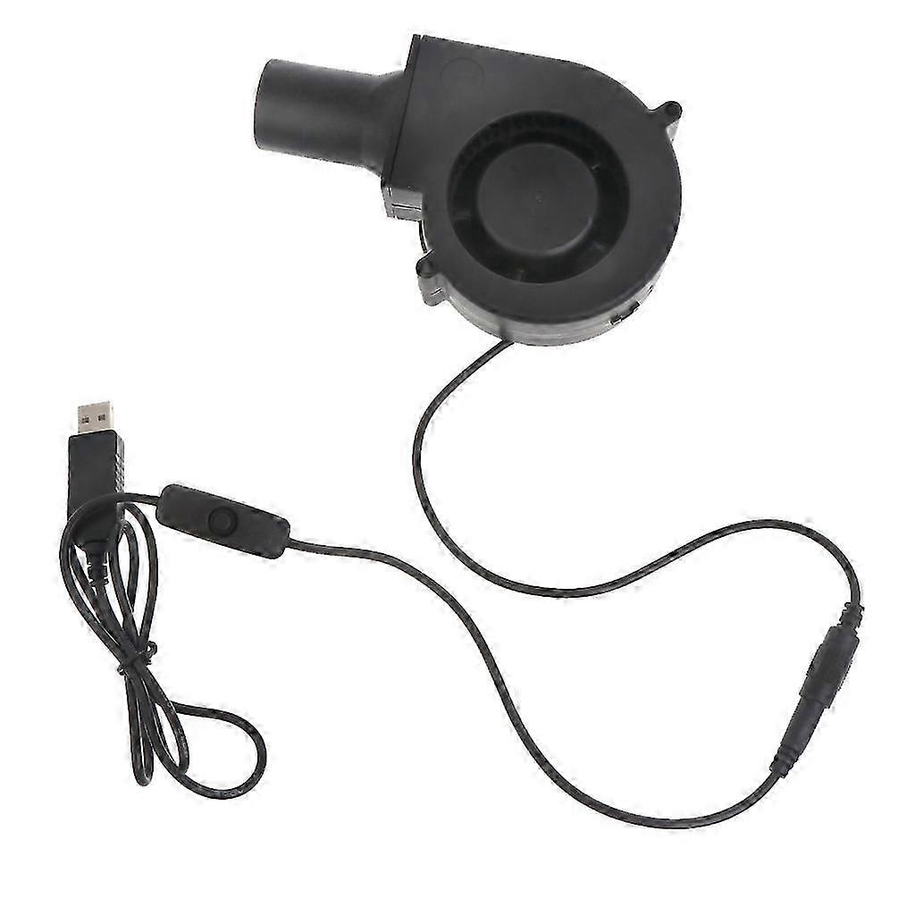 Type C/USB 5V 12V Flame Exciter with Switch Fire Starter for BBQ Grill Cooking