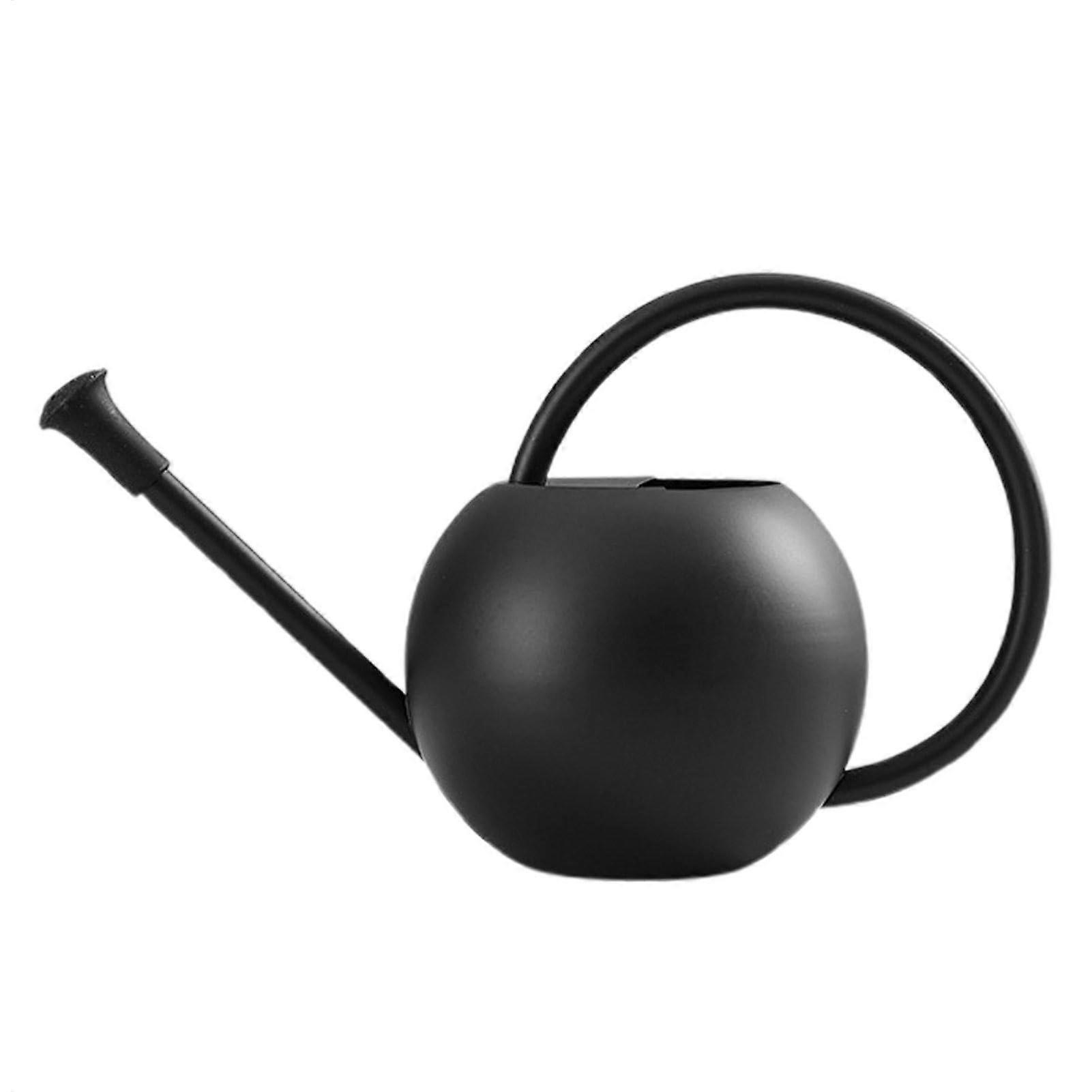 Watering Can with Long Spout for Indoor Plants, Bonsai Kettle