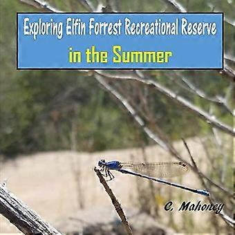 Utforska Elfin Forrest Recreational Reserve på sommaren