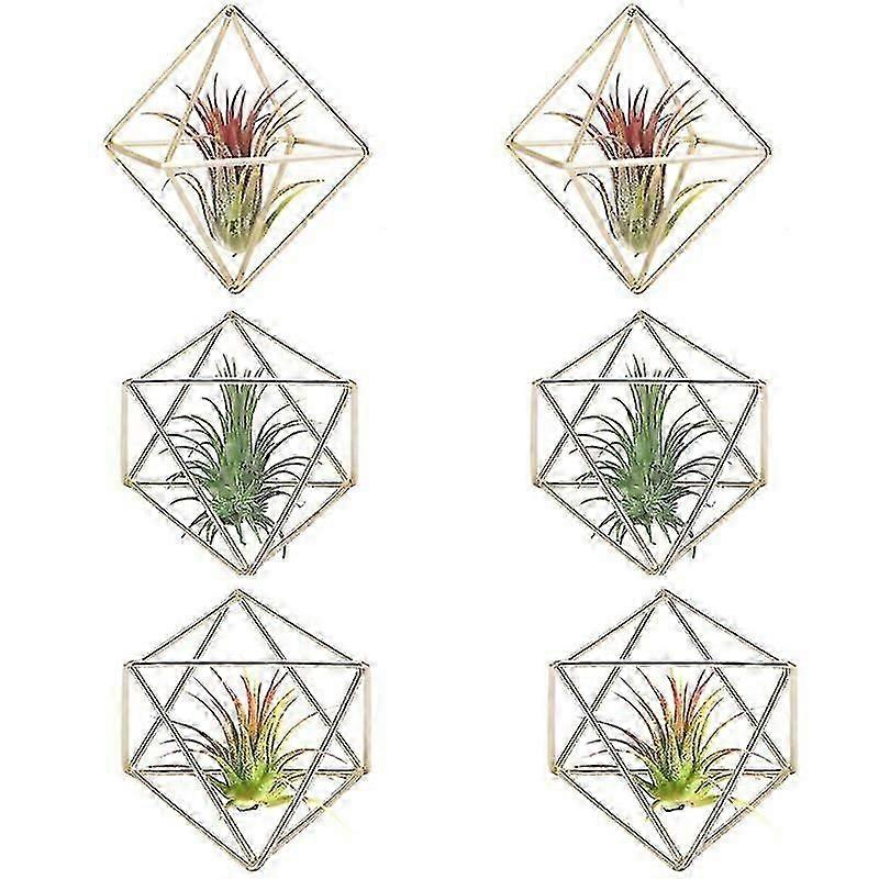 6 Pcs Air Plant Holder Mini Metal Tabletop Decor Modern Geometric Planter Tillandsia Display Stand