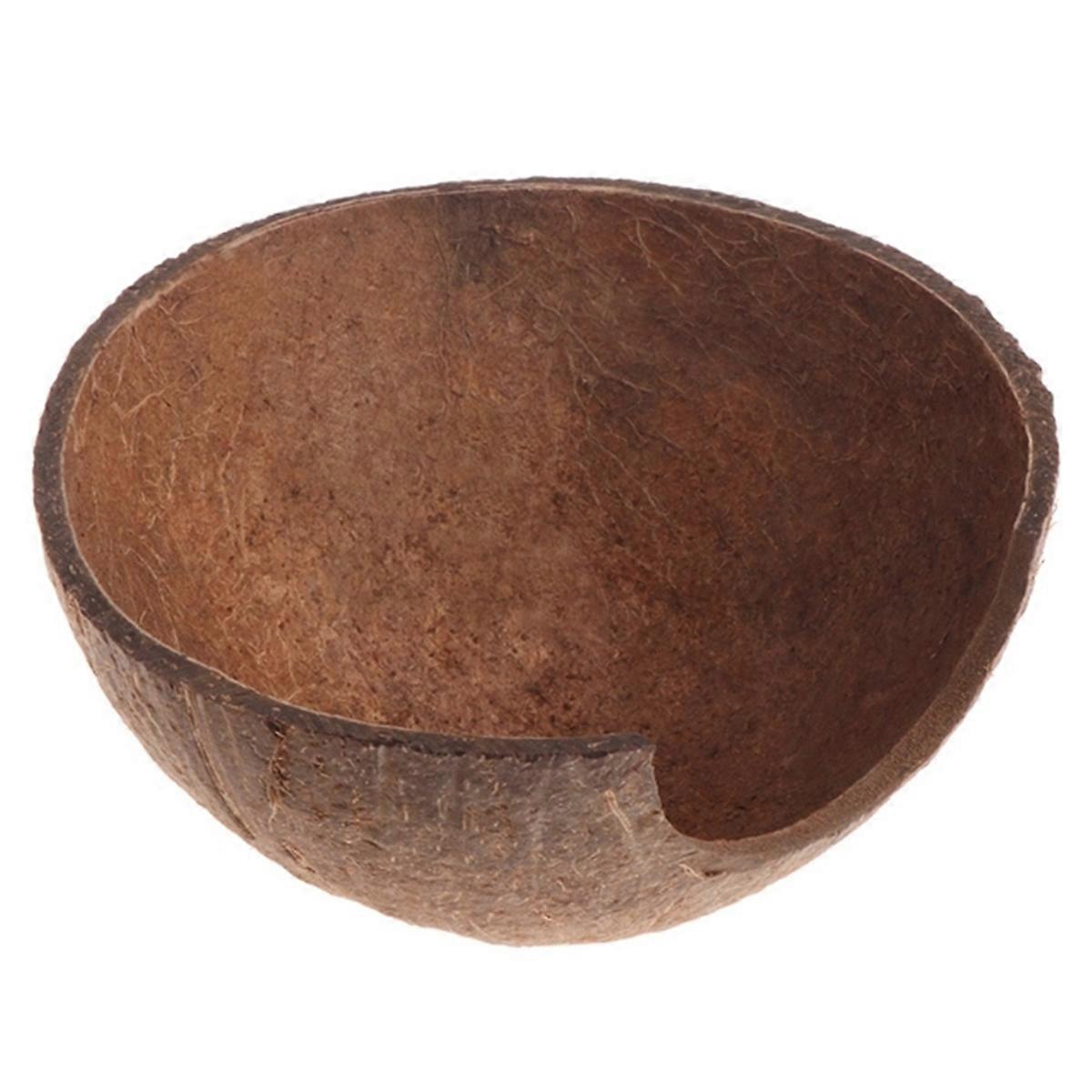 New Reptile Hide Habitat Natural Coconut Shell Lizard Spider