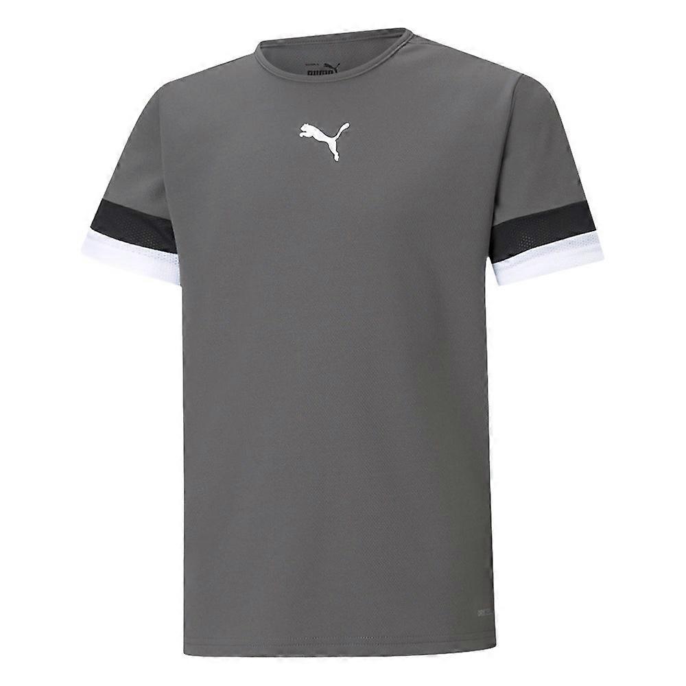 Puma Teamrise Jersey 70493813 training all year men