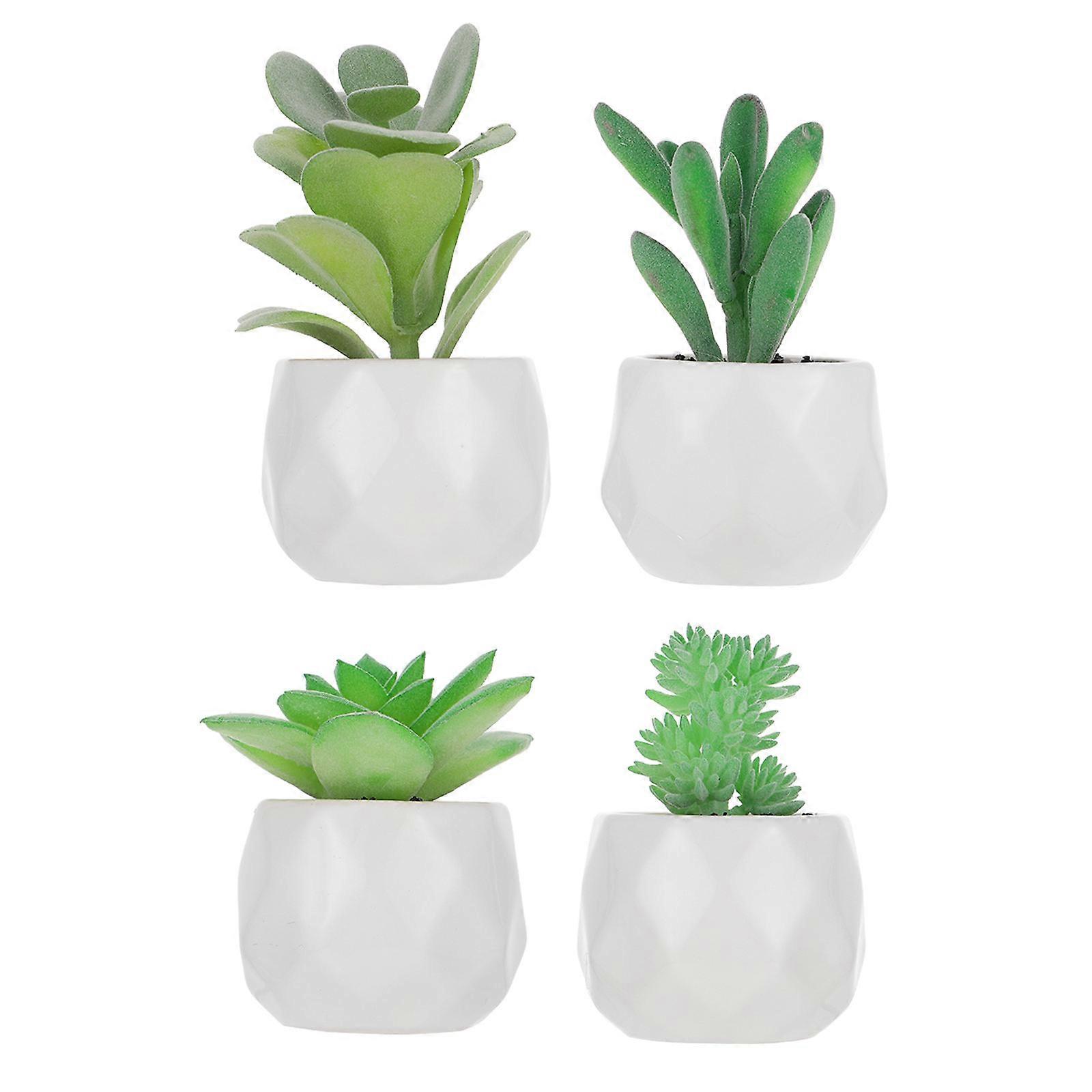 Artificial Succulent Plants Bonsai for Decor Set of 12 Assorted Colors