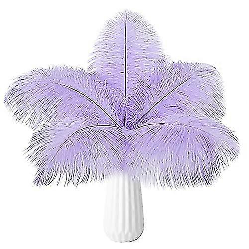20pcs Bulk Feathers  Light Purple