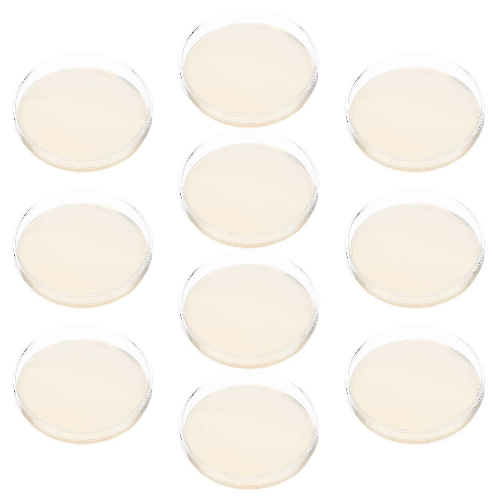 Agar Medium Agar for Biological Determine Equipment 10Pcs