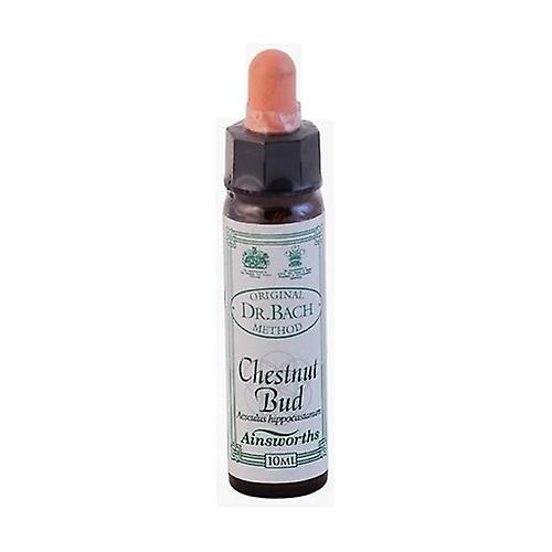 n ° 7 Chestnut 10 ml