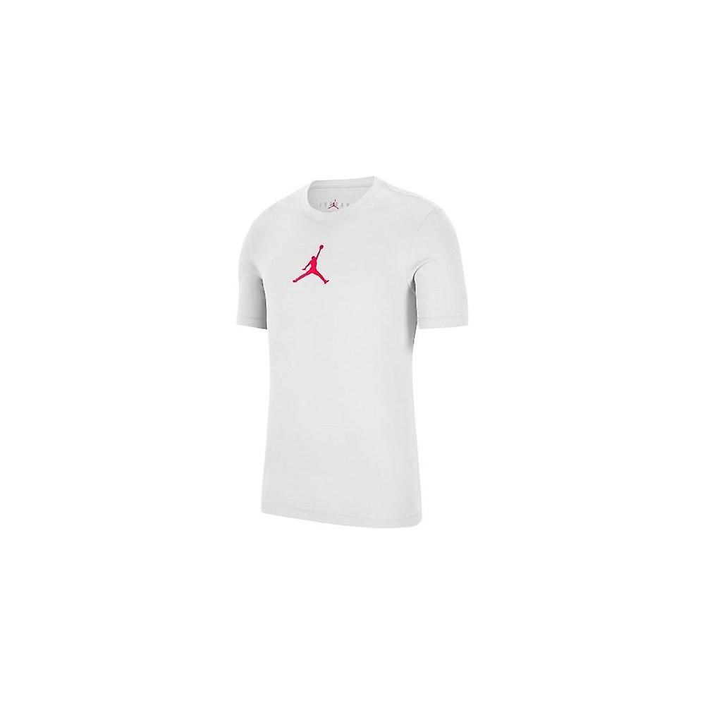 Nike Jordan Jumpman CW5190100 training all year men