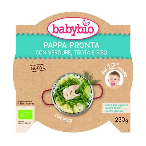 Ready Pappa with Vegetables, Trout and Rice 230 g