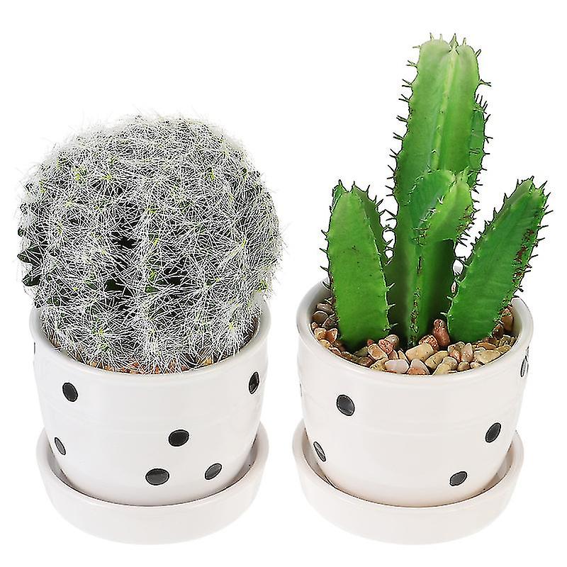 2pcs Nordic Style Topfpflanze