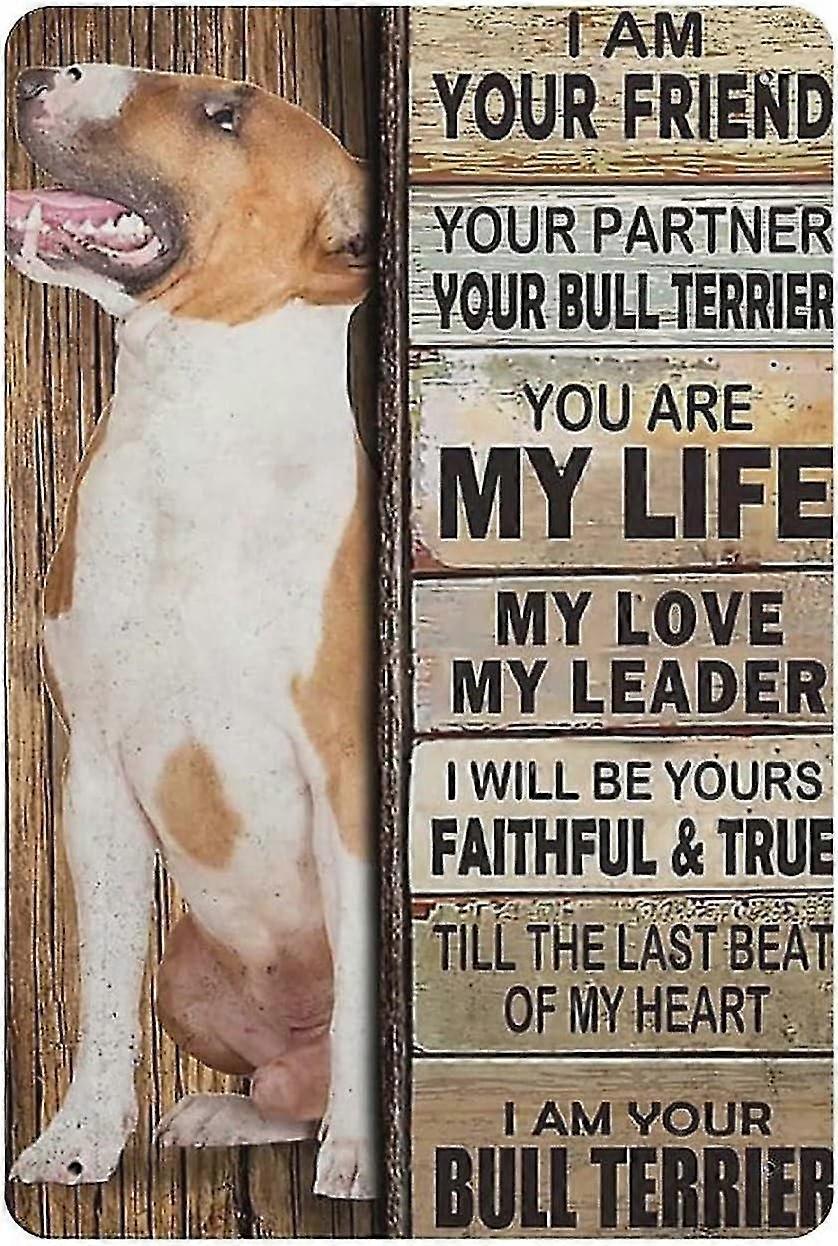 Placa de Metal Dachshund Dog Vintage Tin Poster Metal Sign 8x12 Polegadas OU 12x16 Polegadas Modo 1713