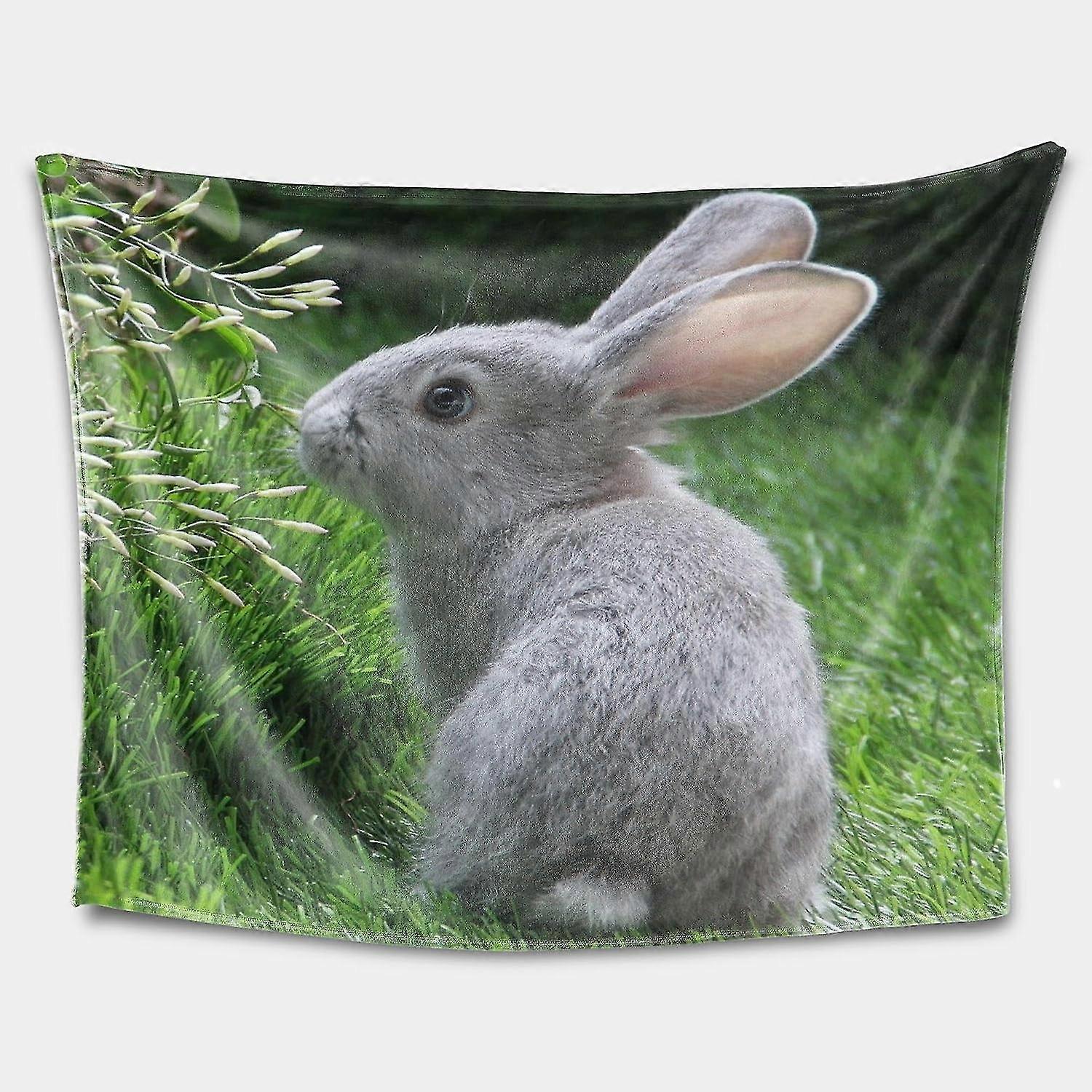 Ansigtsklud Tæppe, Anime 3D Trykt Varm Flannel Tæppe, Stue, Soveværelse, Kontor Brug Tæppe PJHJ150ids10620