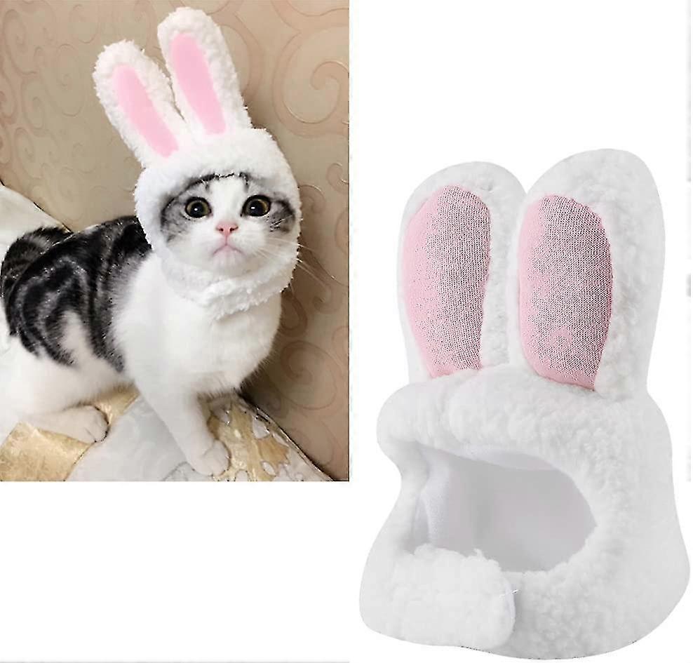 Rabbit Ears Pet Hat