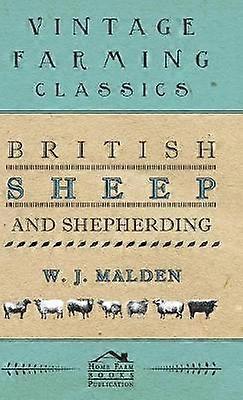 British Sheep And Shepherding