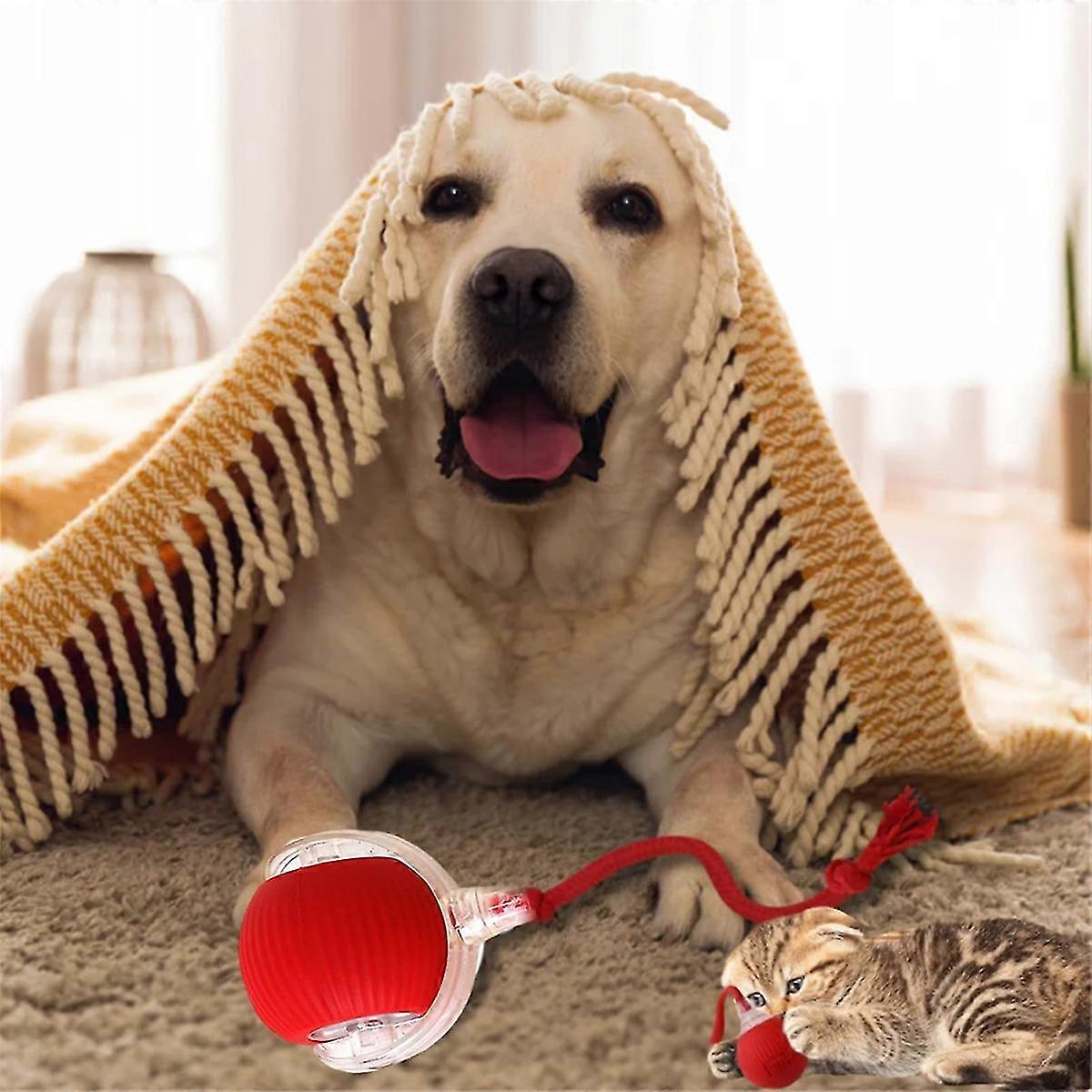 Interactive Cat Toys Rolling Ball red
