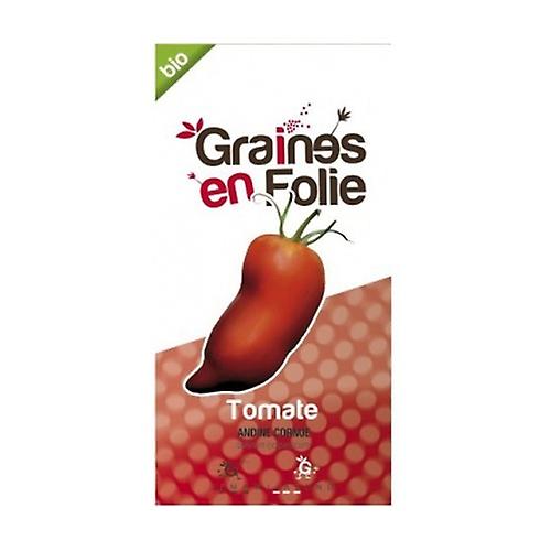 Corned Andean Tomato Seeds 10 g
