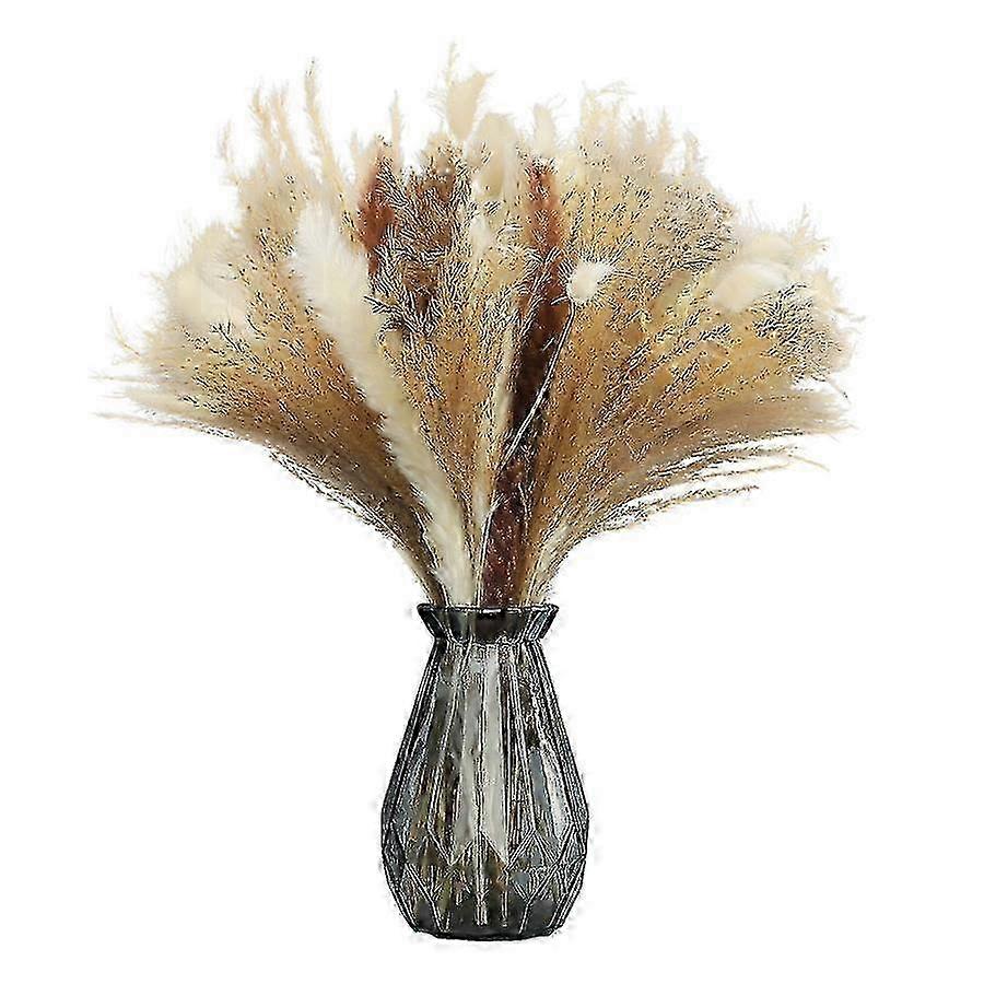Multicolor Pampas Grass, 92 Stems, Home & Party Decor