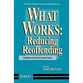 Co działa: Redukcja recydywy: Wytyczne z badań i praktyki (Wiley Series w rehabilitacji przestępcy)
