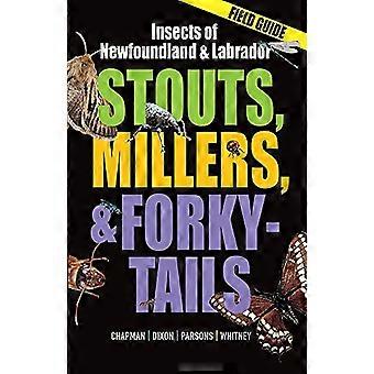 Insekten von Neufundland und Labrador: Stouts, Millers und Forky-Tails