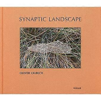 Synaptische Landschaft: Oliver Ullrich