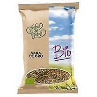 Goldenrod (solidago) Eco 45 g