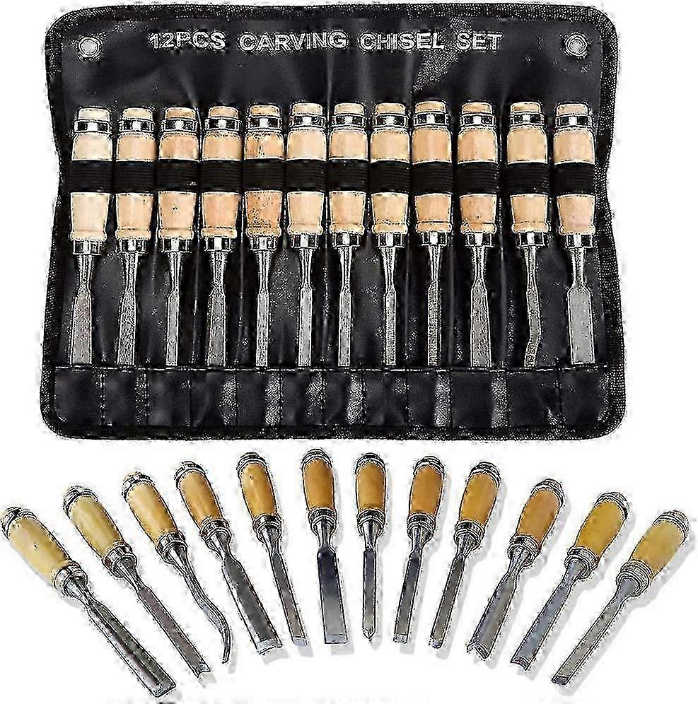 Professional Sharp Wood Carving Chisel Set 12 Pcs Woodworking Tools