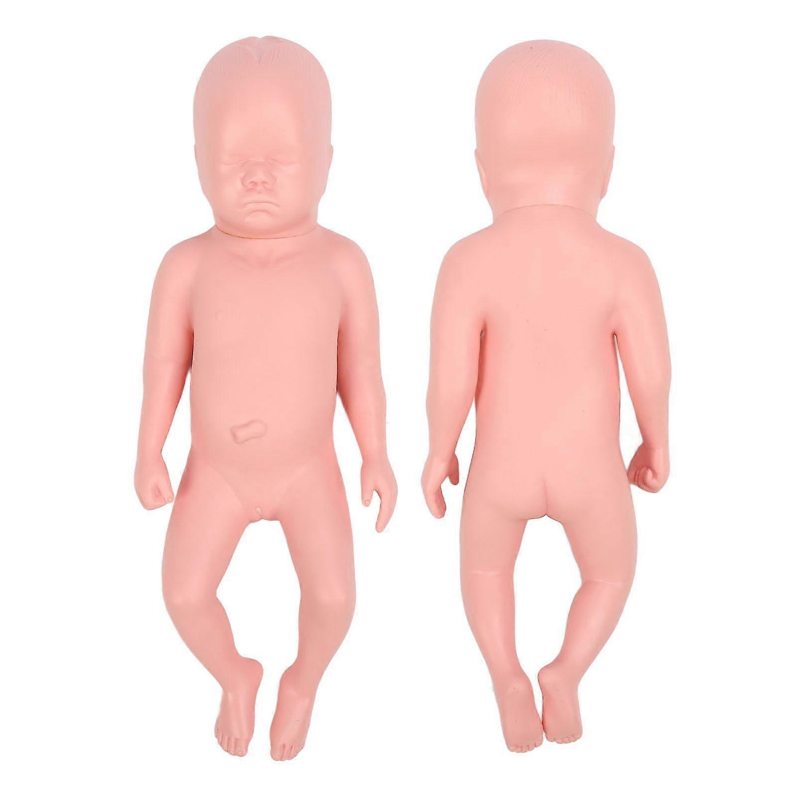 Newborn Model Plastic Educational High Simulation Full Term Baby Simulator Model For Teaching