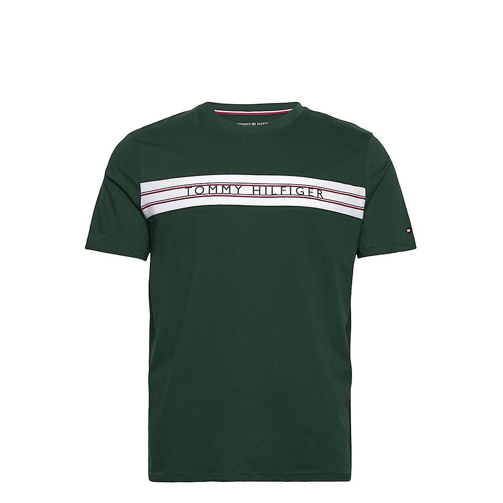 Tommy Hilfiger UM0UM02422MBP all year men t-shirt