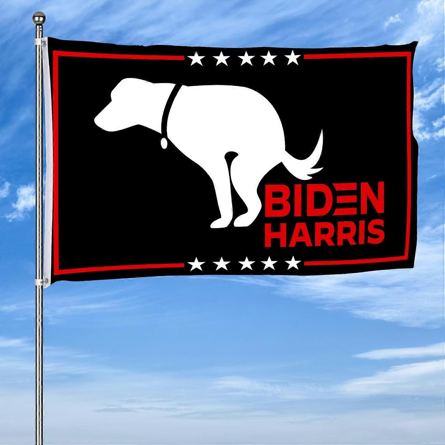 Anti Biden 2024 Flag PFSGV155