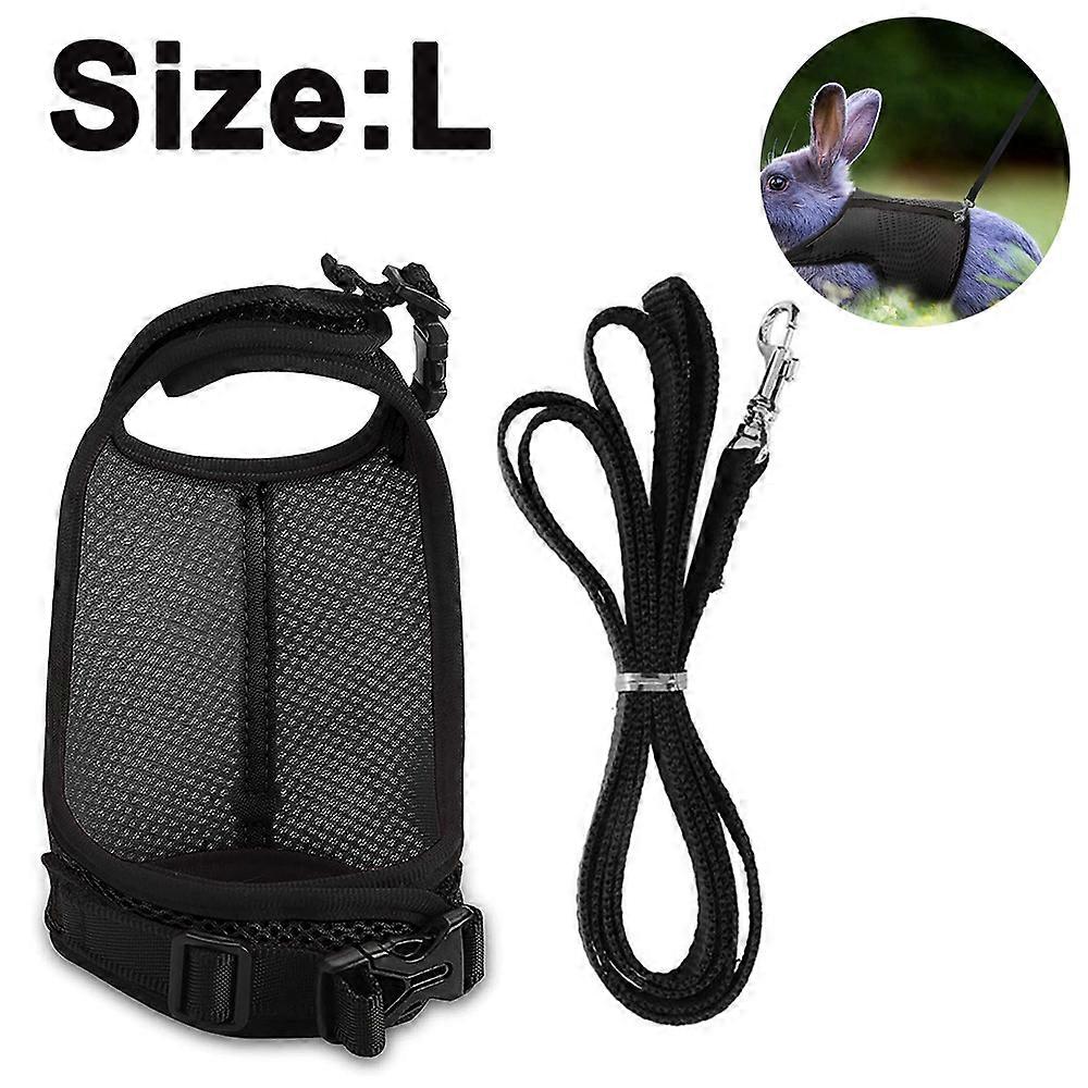 pet, harness, leash, no pull, small animals