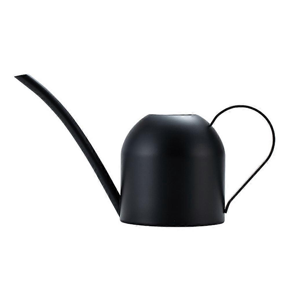 Stainless Steel Watering Can, Long Spout for Precise Watering Control