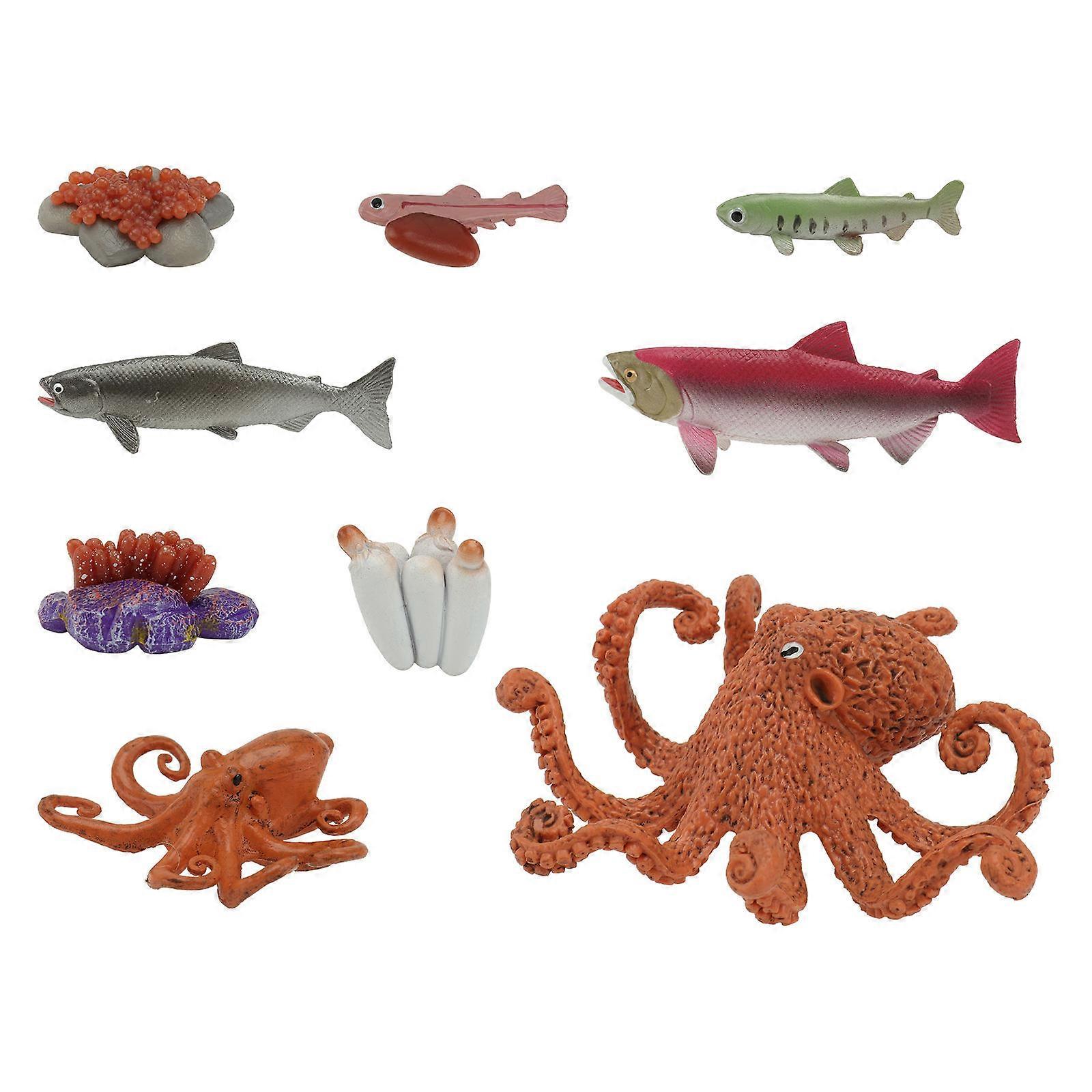 Animal Growth Cycle Figurines Cognitive Development Teaching Models For Educators Assorted Color Nature Understanding 2 Sets